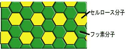 corting2.gif