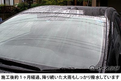 shinflow500.jpg